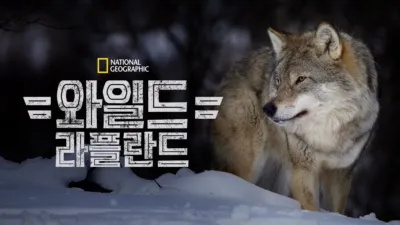 와일드 라플란드