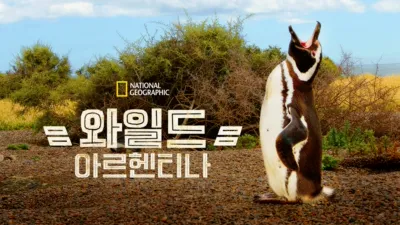 와일드 아르헨티나