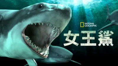 女王鯊