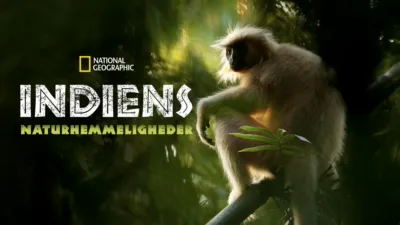 Indiens naturhemmeligheder