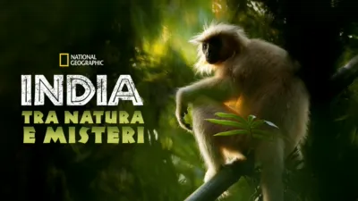 India: Tra Natura e Misteri