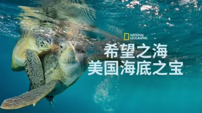 希望之海：美国海底之宝