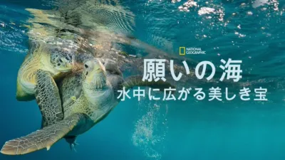 願いの海：水中に広がる美しき宝