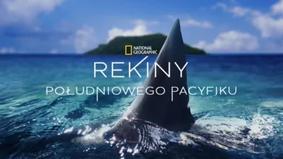Rekiny południowego Pacyfiku