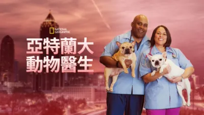 亞特蘭大動物醫生