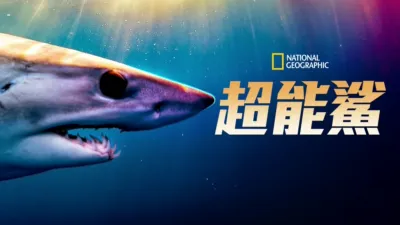 超能鯊