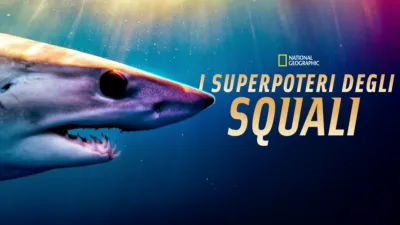 Shark Superpower