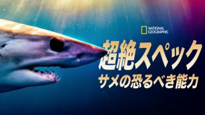 超絶スペック：サメの恐るべき能力
