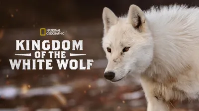 Kingdom of the White Wolf