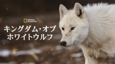 キングダム・オブ・ホワイトウルフ