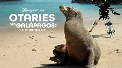 Otaries des Galápagos : Le Making Of