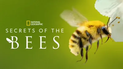 Secrets of the Bees