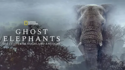 Ghost Elephants: Die Geister im Hochland Angolas