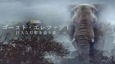 ゴースト・エレファント～巨大な幻影を追う者