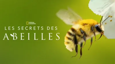 Les Secrets des abeilles