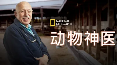 动物神医