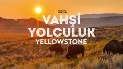 Vahşi Yolculuk: Yellowstone