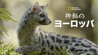 神秘のヨーロッパ