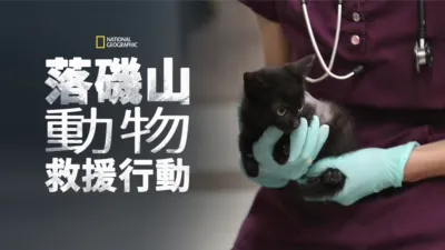 落磯山動物救援行動