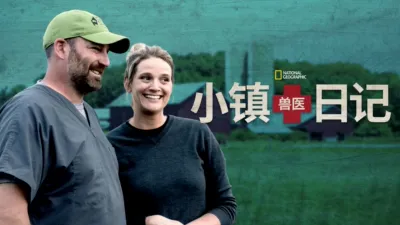小镇兽医日记