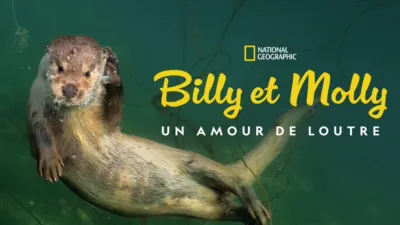Billy et Molly : Un amour de loutre