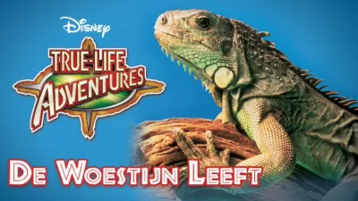 De Woestijn Leeft