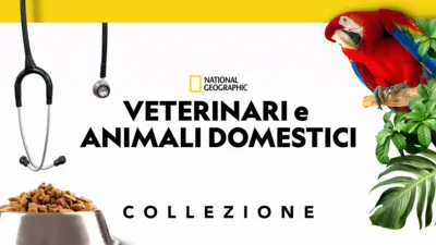 Veterinari e animali domestici