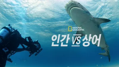인간 vs 상어