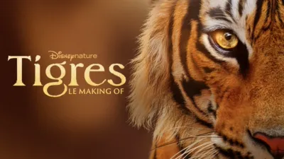 Tigres : le making of