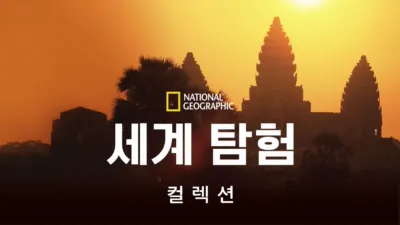 내셔널지오그래픽 세상을 탐험하다