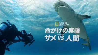 命がけの実験：サメ vs 人間