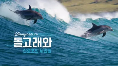 돌고래와 산호초의 시민들