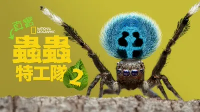 真實蟲蟲特工隊