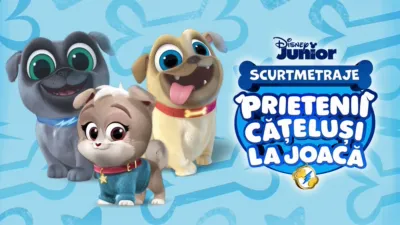 Prietenii cățeluși la joacă