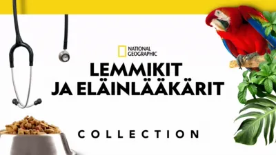 Lemmikit ja eläinlääkärit
