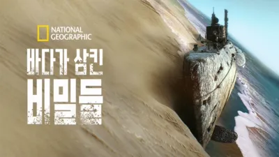 바다가 삼킨 비밀들