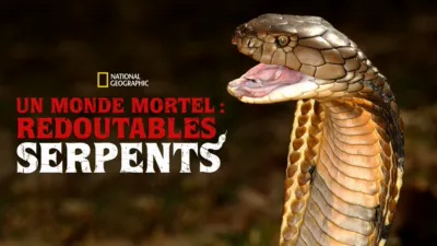 Un monde mortel : redoutables serpents