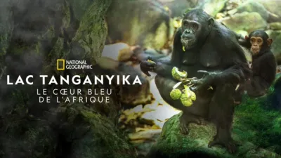 LAC TANGANYIKA : Le cœur bleu de l’Afrique