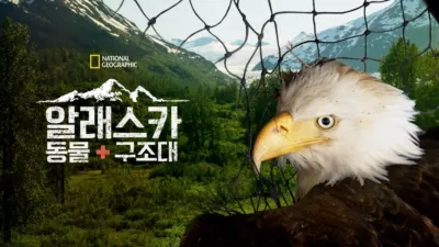 알래스카 동물 구조대