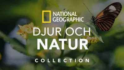 National Geographic: Djur och natur