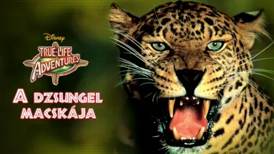 A dzsungel macskája