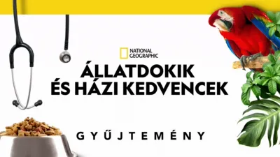 Állatdokik és házi kedvencek