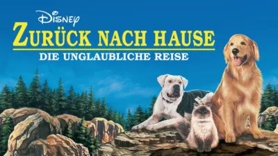Zurück nach Hause - Die unglaubliche Reise