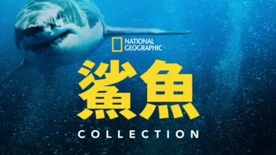 國家地理鯊魚