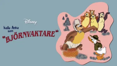 Kalle Anka som björnvaktare