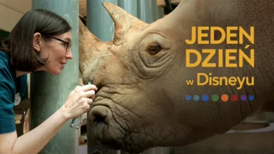 Jeden dzień w Disneyu