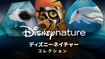 ディズニーネ⁠イ⁠チ⁠ャ⁠ー