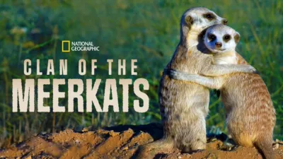 Clan of the Meerkats