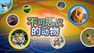 不可思议的动物