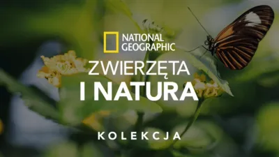 National Geographic – zwierzęta i natura